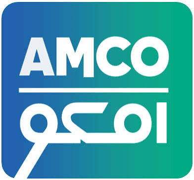 Advanced Company for Mining (AMCO)